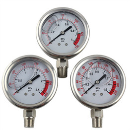SS Pressure gauges